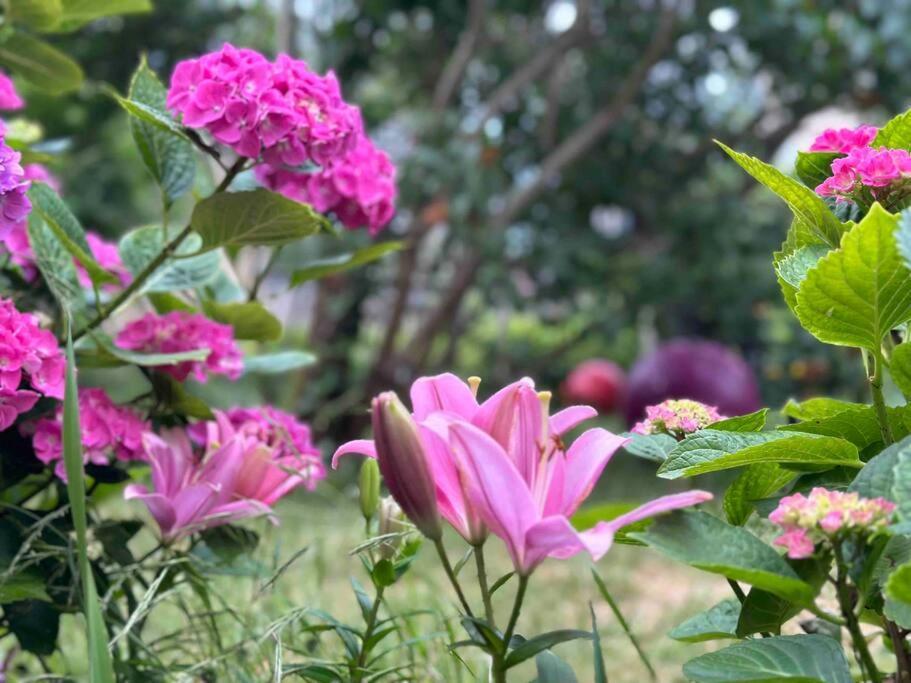 Confort Avec Jardin Proche Centre Appartement