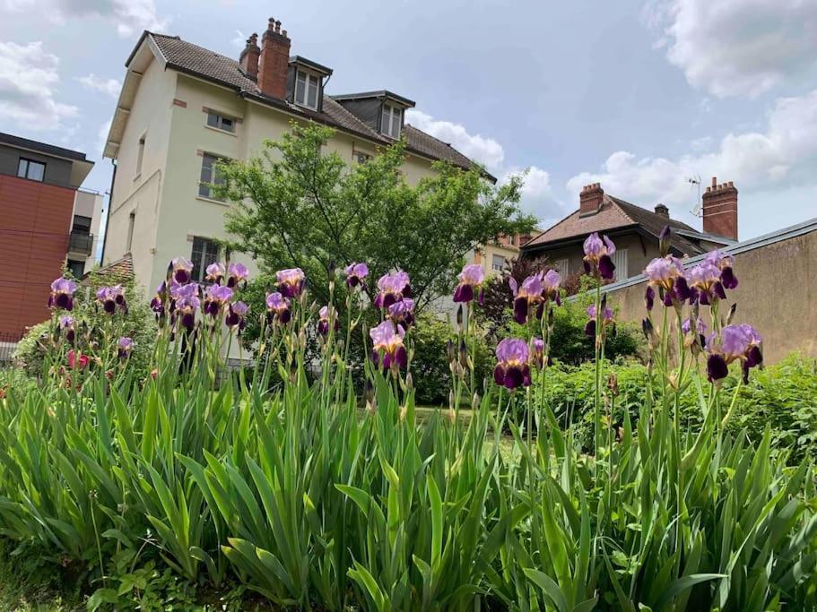 Apartment Confort Avec Jardin Proche Centre Besançon